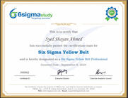 Yellow Belt Six Sigma