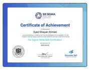 White Belt Six Sigma